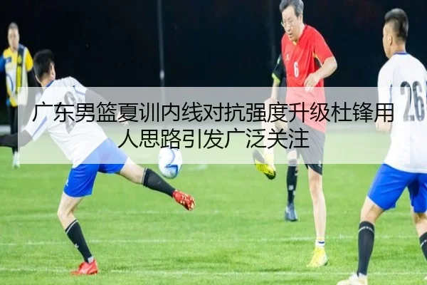广东男篮夏训内线对抗强度升级杜锋用人思路引发广泛关注