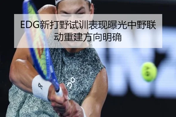 EDG新打野试训表现曝光中野联动重建方向明确